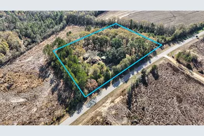 1341 Hwy 185, Westville, FL 32464 - Photo 3