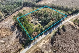 1341 Hwy 185, Westville, FL 32464 - Photo 3