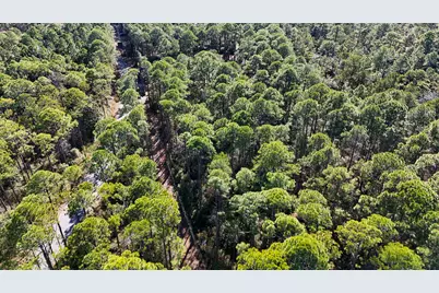 1.9 Acres Red Barn Road, Freeport, FL 32439 - Photo 9