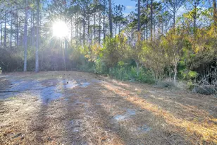 741 Breakers Street, Inlet Beach, FL 32461 - Photo 39