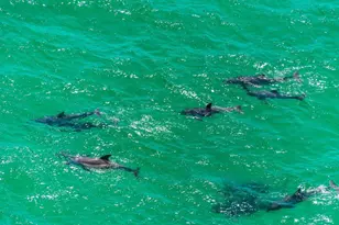 66 Garnet Pl, Destin, FL 32541 - Photo 47