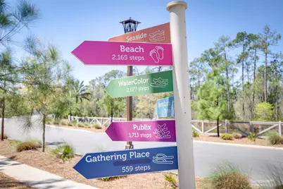 571 Sandgrass Boulevard, Santa Rosa Beach, FL 32459 - Photo 63