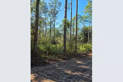 Lot 25 Quail Park, Santa Rosa Beach, FL 32459 - Photo 1