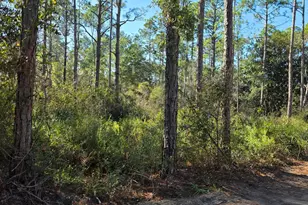 Lot 25 Quail Park, Santa Rosa Beach, FL 32459 - Photo 1