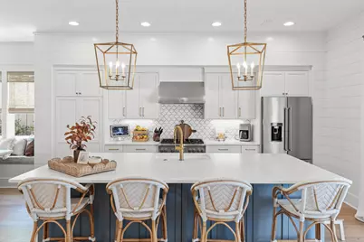 231 Catface Drive, Inlet Beach, FL 32461 - Photo 3