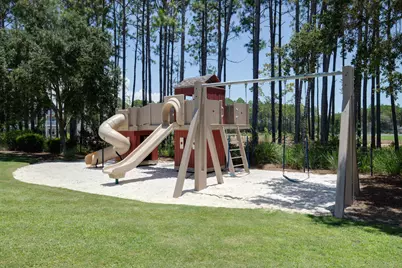 231 Catface Drive, Inlet Beach, FL 32461 - Photo 39