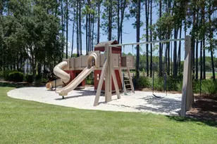 231 Catface Dr, Inlet Beach, FL 32461 - Photo 39