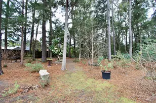 2510 Chinook Dr, Crestview, FL 32536 - Photo 61