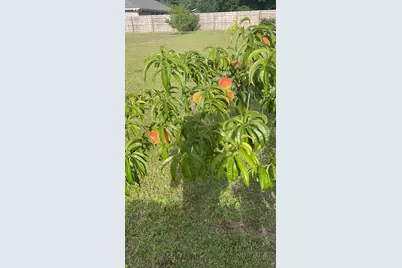 3505 Shirey Court, Crestview, FL 32539 - Photo 37