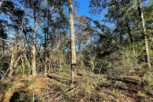 4224 Byrnwyck Pl, Milton, FL 32571 - Photo 19