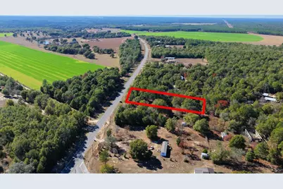 5731 Co Highway 1087, Defuniak Springs, FL 32433 - Photo 9