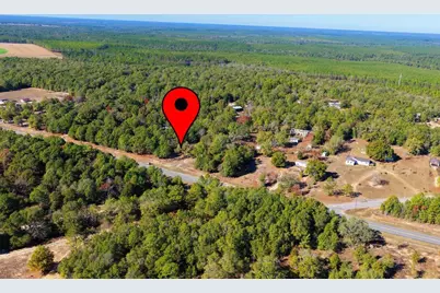 5731 Co Highway 1087, Defuniak Springs, FL 32433 - Photo 3