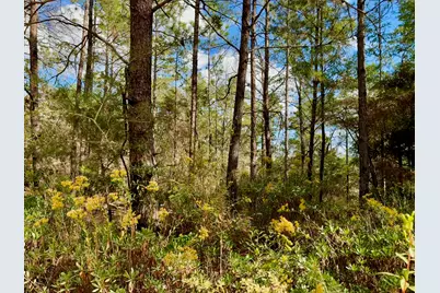 Lot 29 Cleawater Drive, Defuniak Springs, FL 32433 - Photo 3
