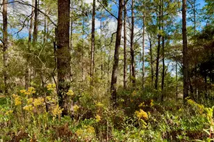 Lot 29 Cleawater Dr, Defuniak Springs, FL 32433 - Photo 3