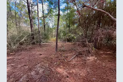 Lot 29 Cleawater Drive, Defuniak Springs, FL 32433 - Photo 5