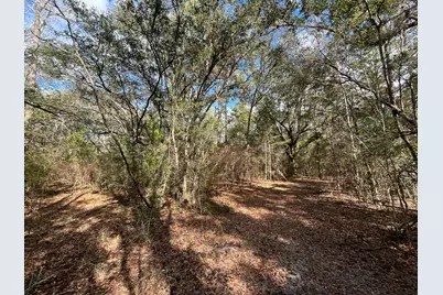 3878 River Road, Vernon, FL 32462 - Photo 9