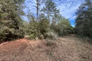 3878 River Rd, Vernon, FL 32462 - Photo 23
