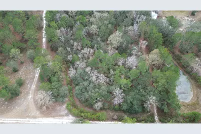 3878 River Road, Vernon, FL 32462 - Photo 25