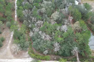 3878 River Rd, Vernon, FL 32462 - Photo 25