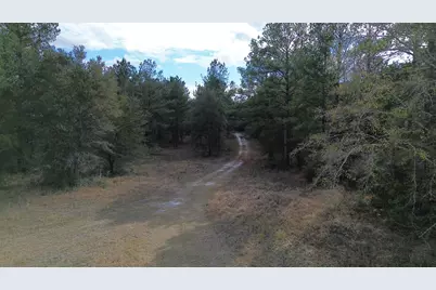 3878 River Road, Vernon, FL 32462 - Photo 13