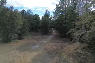 3878 River Rd, Vernon, FL 32462 - Photo 13