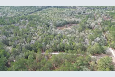 3878 River Road, Vernon, FL 32462 - Photo 11