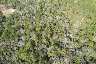 3878 River Rd, Vernon, FL 32462 - Photo 17