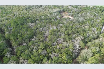 3878 River Road, Vernon, FL 32462 - Photo 15