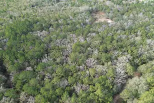 3878 River Rd, Vernon, FL 32462 - Photo 15