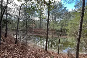 3878 River Rd, Vernon, FL 32462 - Photo 7