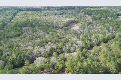 3878 River Road, Vernon, FL 32462 - Photo 19