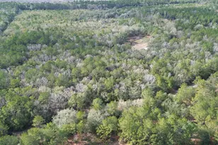 3878 River Rd, Vernon, FL 32462 - Photo 19