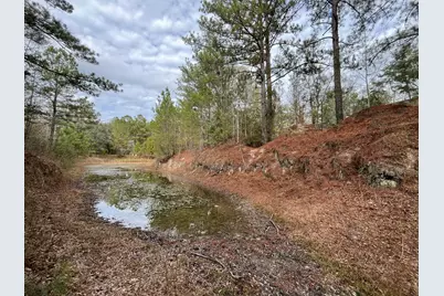 3878 River Road, Vernon, FL 32462 - Photo 3