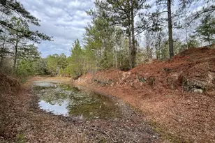 3878 River Rd, Vernon, FL 32462 - Photo 3