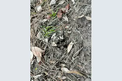 3878 River Road, Vernon, FL 32462 - Photo 5