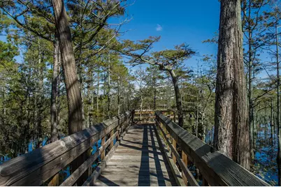 20 Cypress Walk, Santa Rosa Beach, FL 32459 - Photo 43