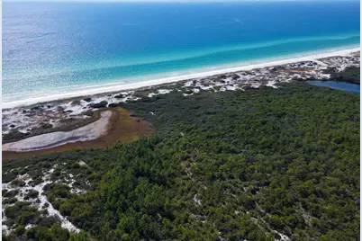 20 Cypress Walk, Santa Rosa Beach, FL 32459 - Photo 5