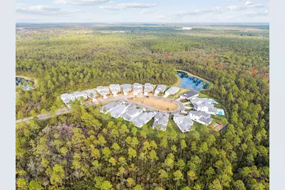 209 Orman Court, Inlet Beach, FL 32461 - Photo 27