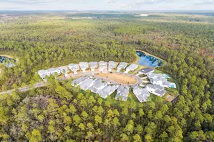 209 Orman Ct, Inlet Beach, FL 32461 - Photo 27