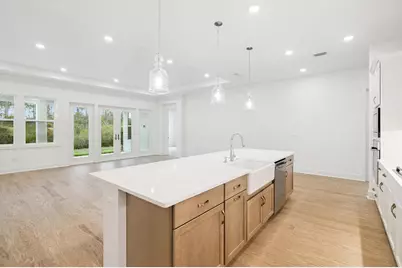 209 Orman Court, Inlet Beach, FL 32461 - Photo 11