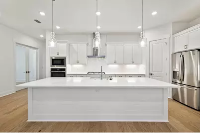 209 Orman Court, Inlet Beach, FL 32461 - Photo 9