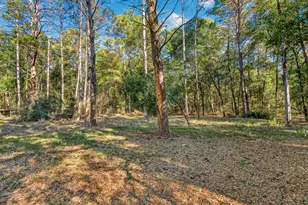 4297 Edge Perry Rd, Crestview, FL 32539 - Photo 67