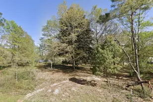 Lot 30&29 E Michaelanglo Road E, Defuniak Springs, FL 32433 - Photo 1