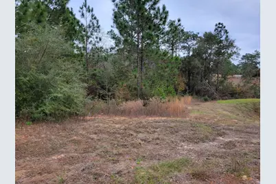 118 Tranquility Drive, Crestview, FL 32536 - Photo 3