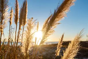 114 Main Sail Dr, Miramar Beach, FL 32550 - Photo 43