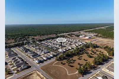 165 Staggerbush Street, Freeport, FL 32439 - Photo 47