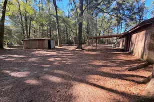 98 Trucking Ln, Ponce de Leon, FL 32455 - Photo 5