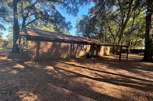 98 Trucking Ln, Ponce de Leon, FL 32455 - Photo 3