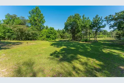 3612 Roche Ave, Vernon, FL 32462 - Photo 13