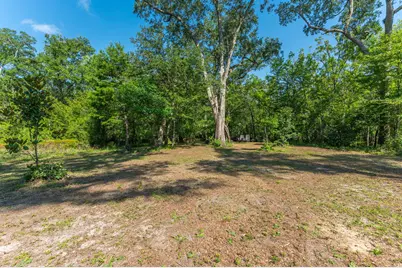 3612 Roche Ave, Vernon, FL 32462 - Photo 9